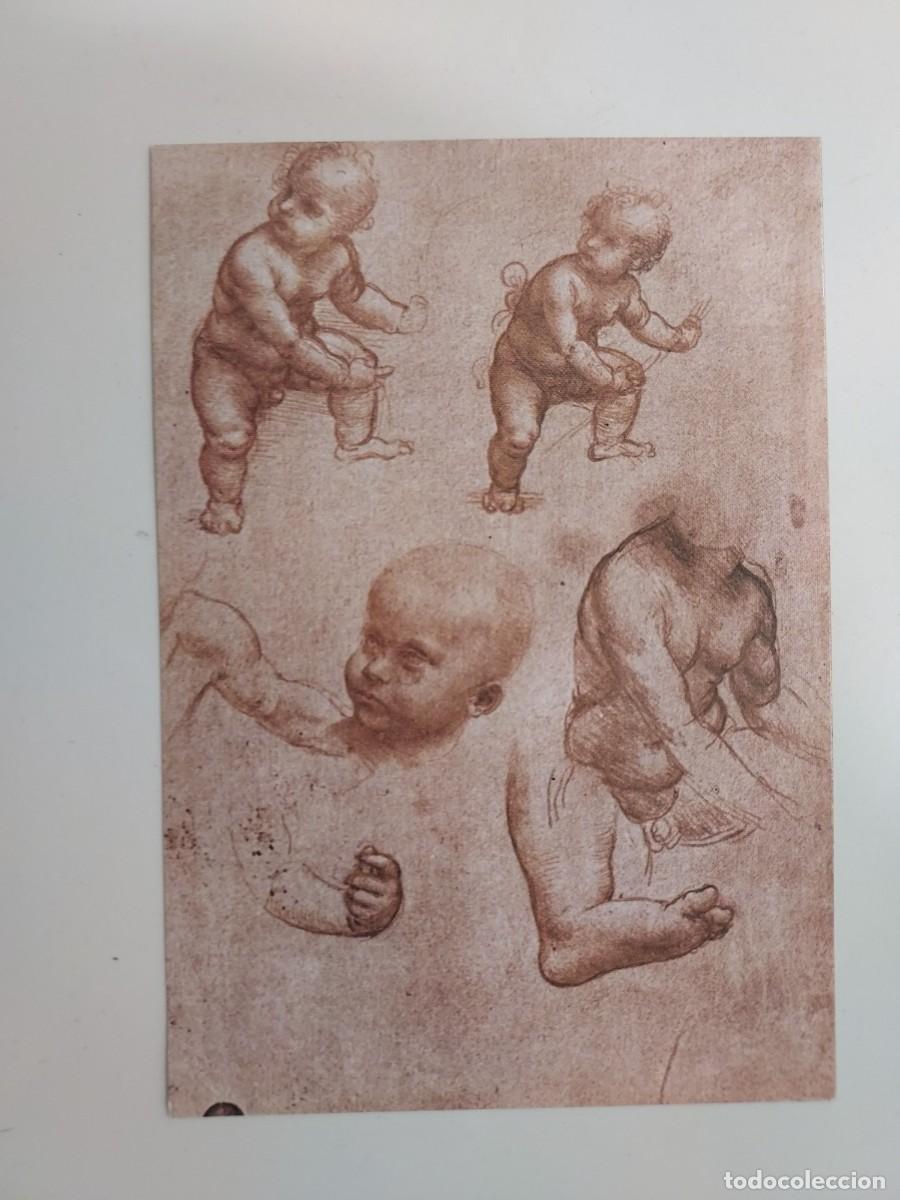 Postales: POSTAL LEONARDO. STUDIO DI BIMBI. FIRENZE. SIN CIRCULAR - Foto 1