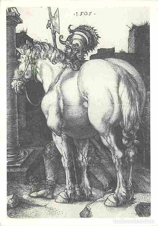 Postkarten: Art - Peinture - Albrecht Durer - Le Grand Cheval - CPM - Voir Scans Recto-Verso