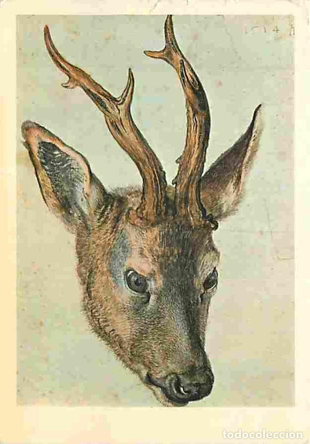 Postcards: Art - Peinture - Albrecht Durer - Tete de Cerf - CPM - Voir Scans Recto-Verso