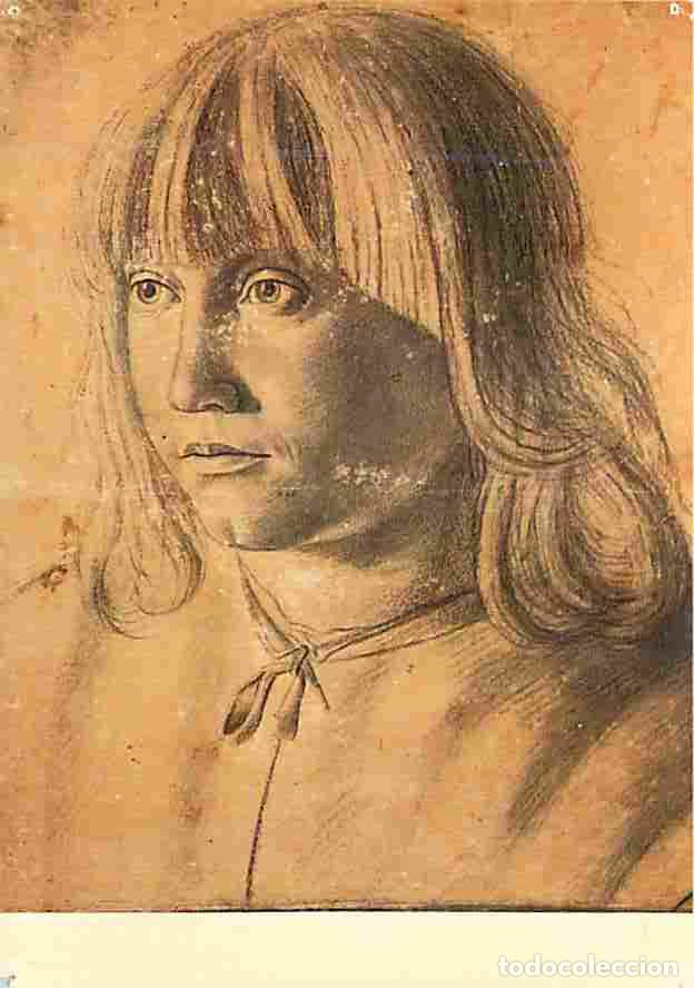 Postais: Art - Peinture - Ecole V&eacute;nitienne - Portrait d'un jeune gar&ccedil;on - Fusain et estampe sur papier brun -