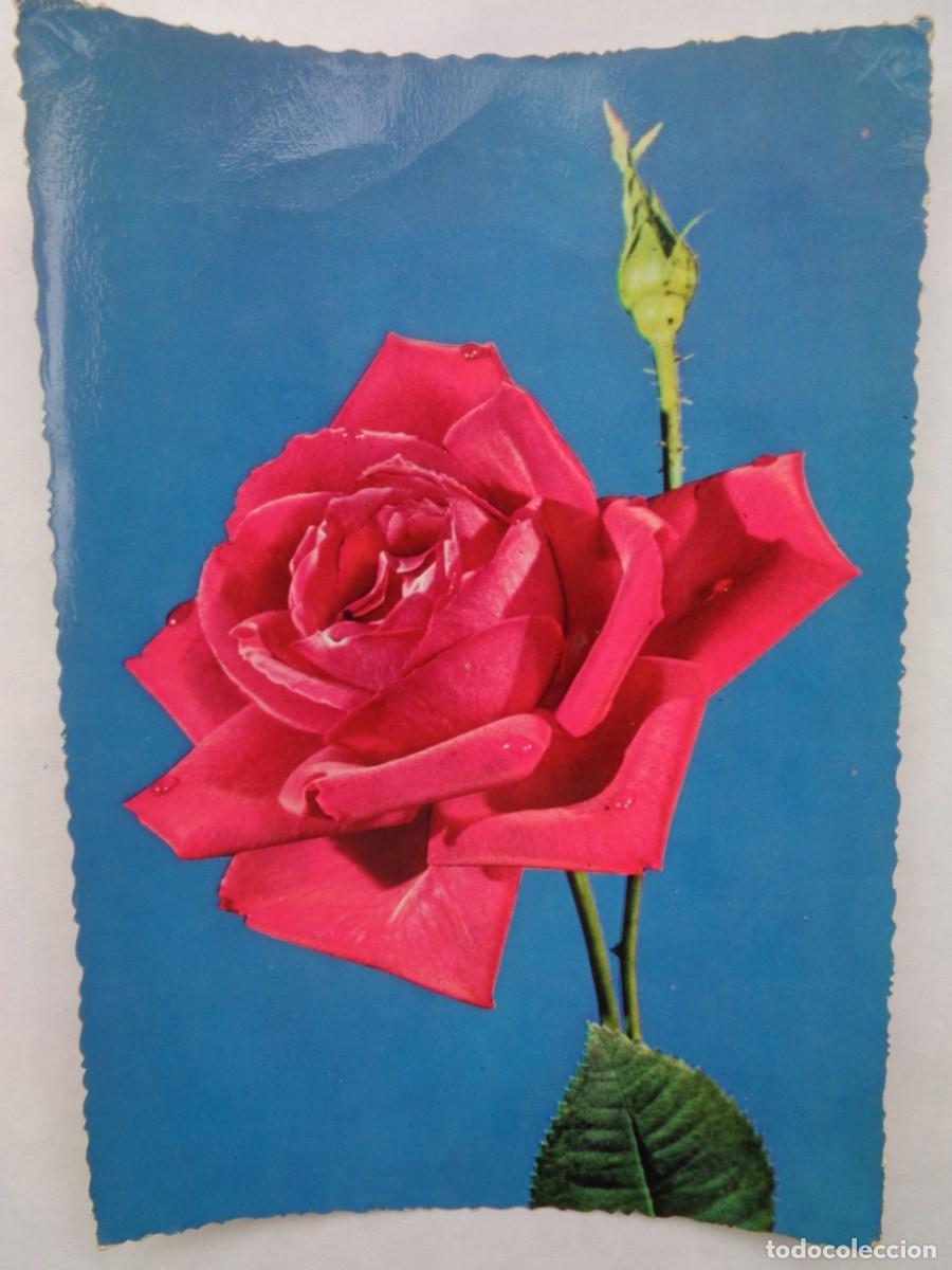Postales: POSTAL CON ROSA , A&Ntilde;OS 50 - Foto 1