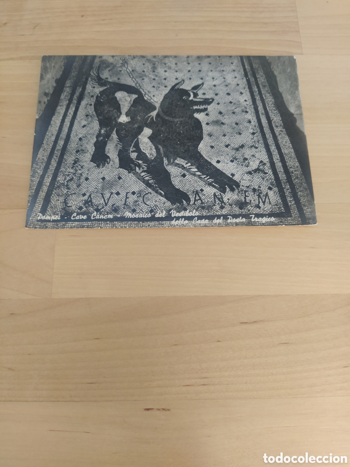 Postales: POSTAL MOSAICO DE PERRO - POMPEYA - Foto 1