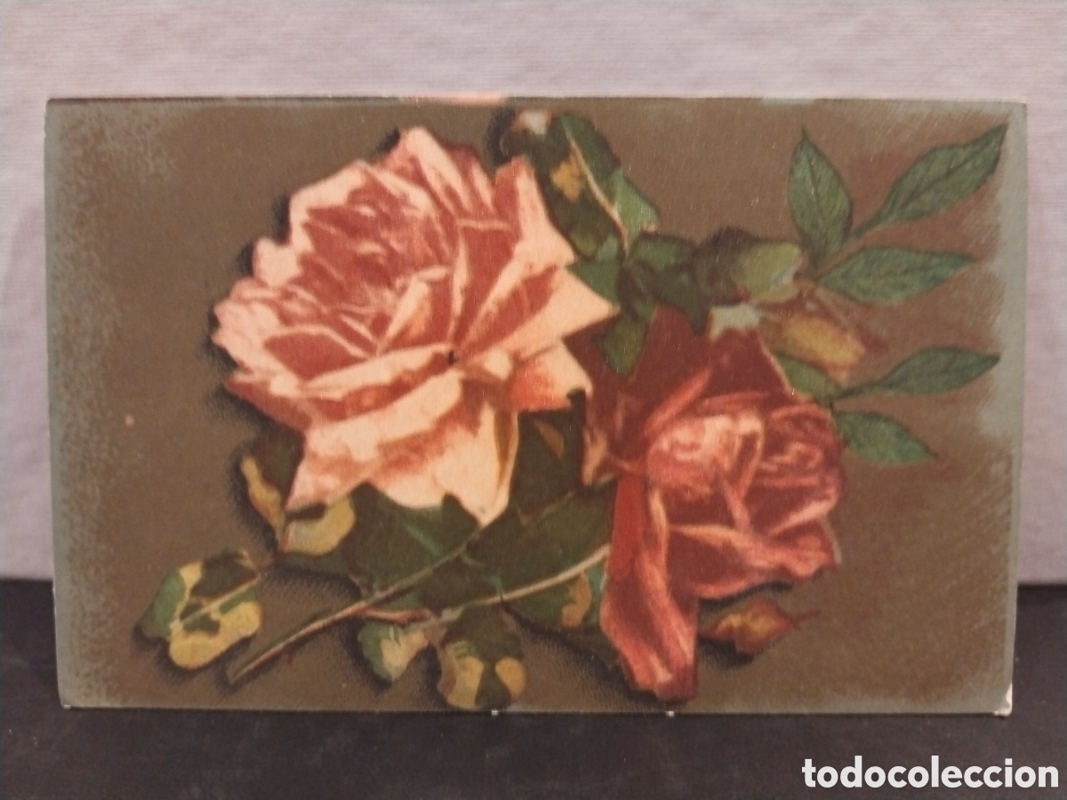 Postales: Postal Ilustrada. Rosas - Foto 1