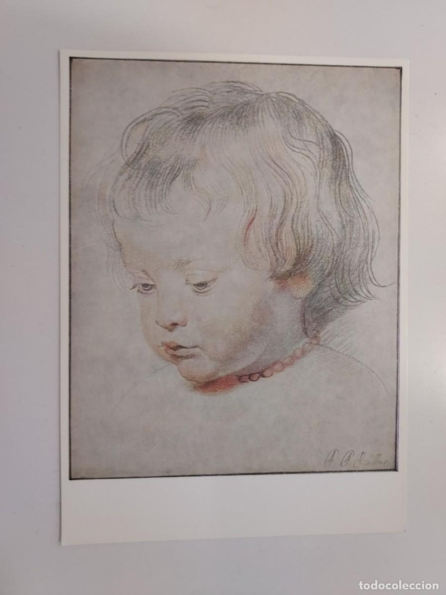 Postales: POSTAL PETER PAUL RUBENS - CARA DE UN BEBE. SIN CIRCULAR. GERMANY - Foto 1