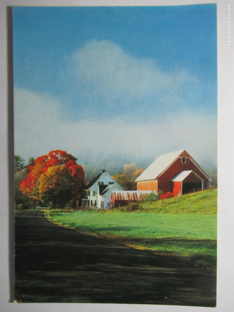 Postales: Postal paisaje - S/C - Foto 1