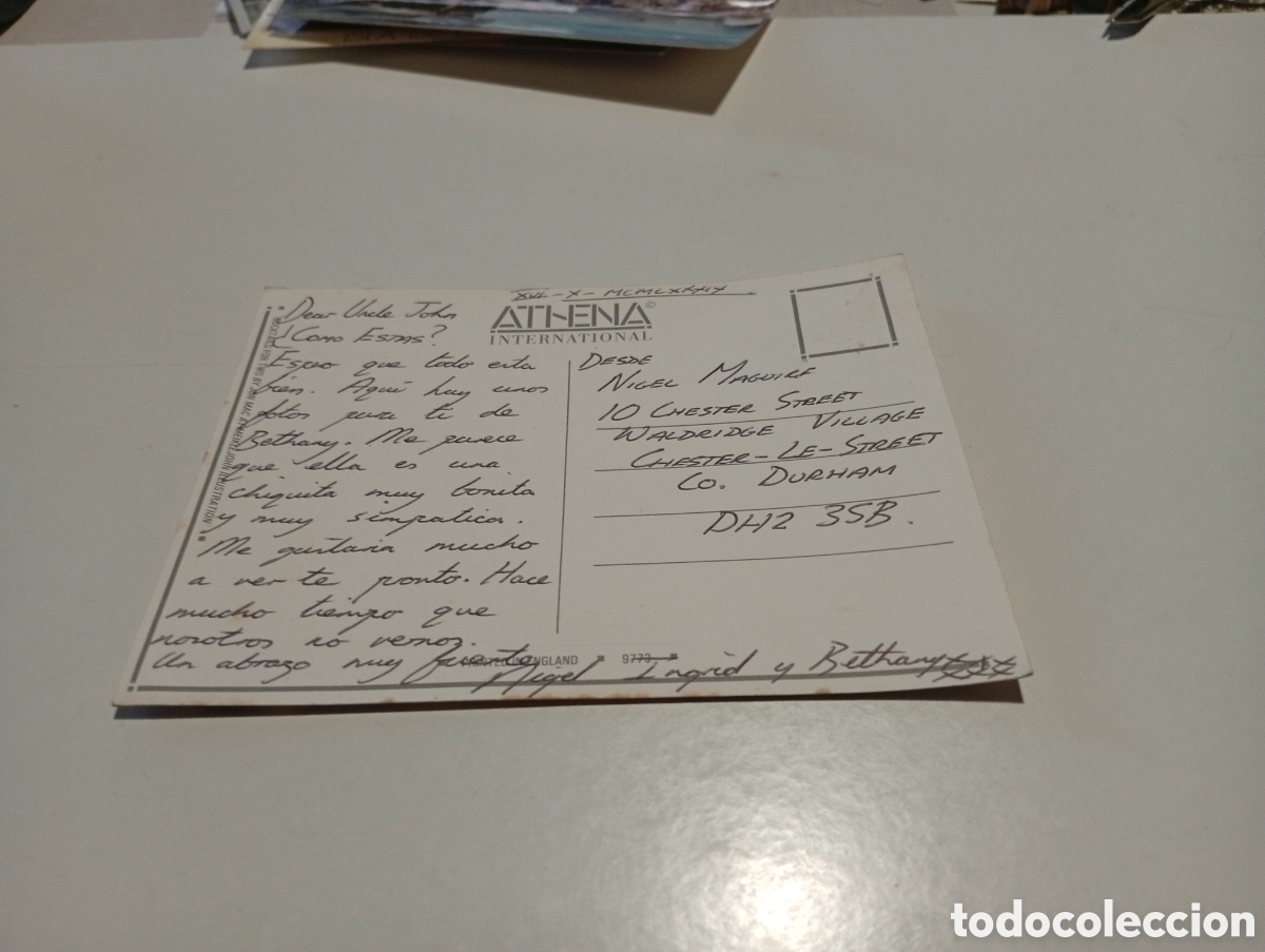 Postales: Postal dibujo osos tomando refresco - Foto 2