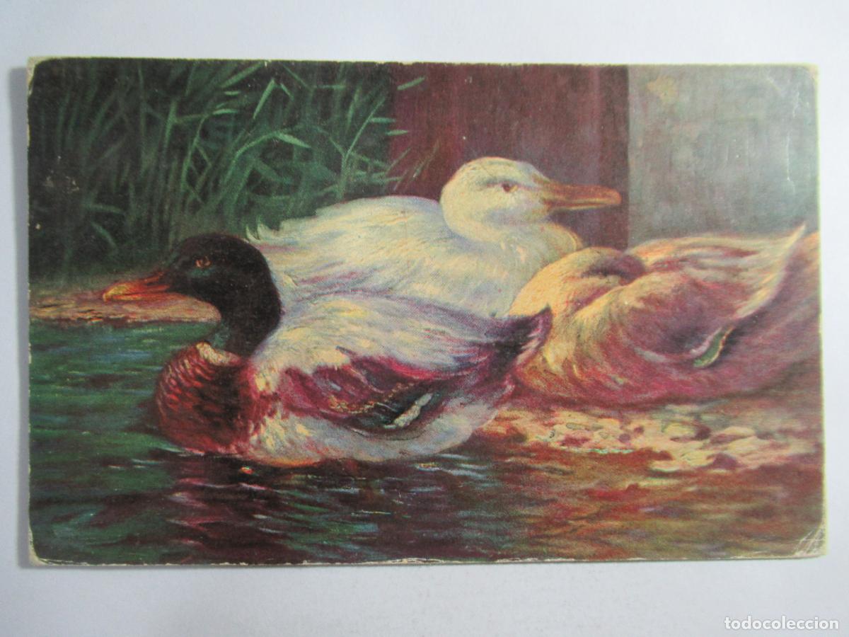 Postales: Oleoplast - Olgem&auml;lde - S/C - Foto 1