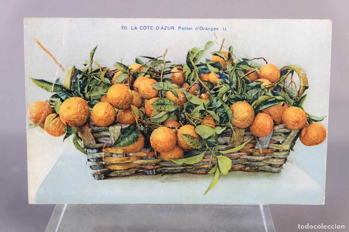 Postales: TARJETA POSTAL CESTO CON NARANJAS - Foto 1