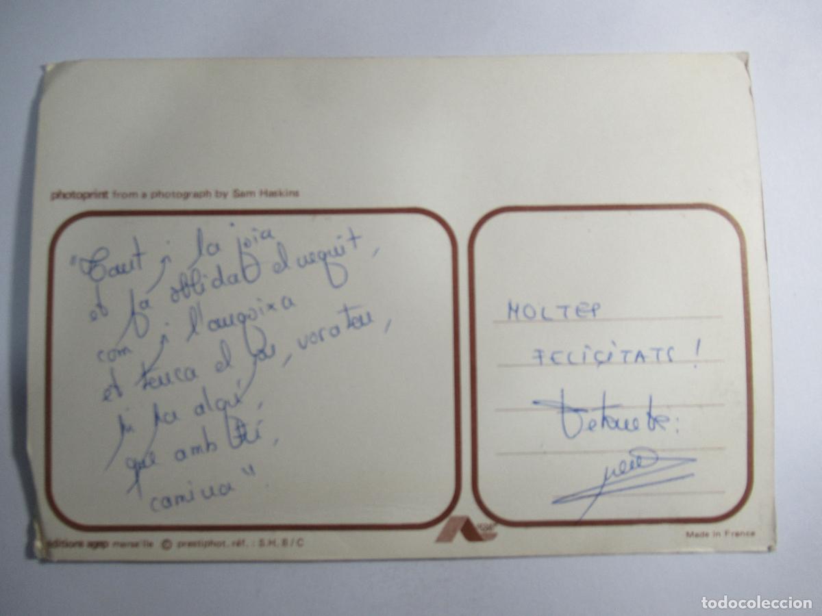 Postales: Sam Haskins - 17 x 11,7 cm. - Escrita - Foto 2