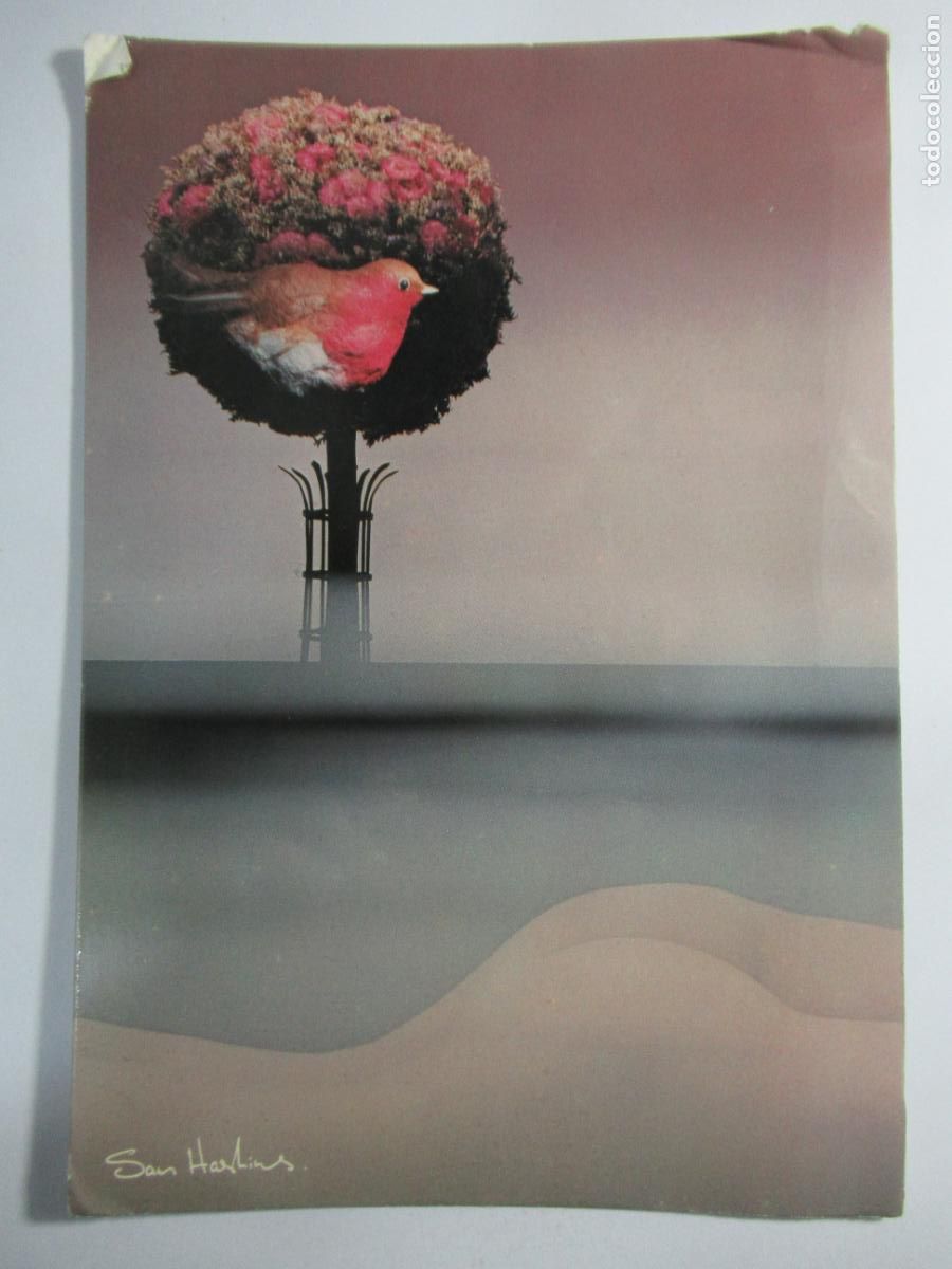 Postales: Sam Haskins - 17 x 11,7 cm. - Escrita