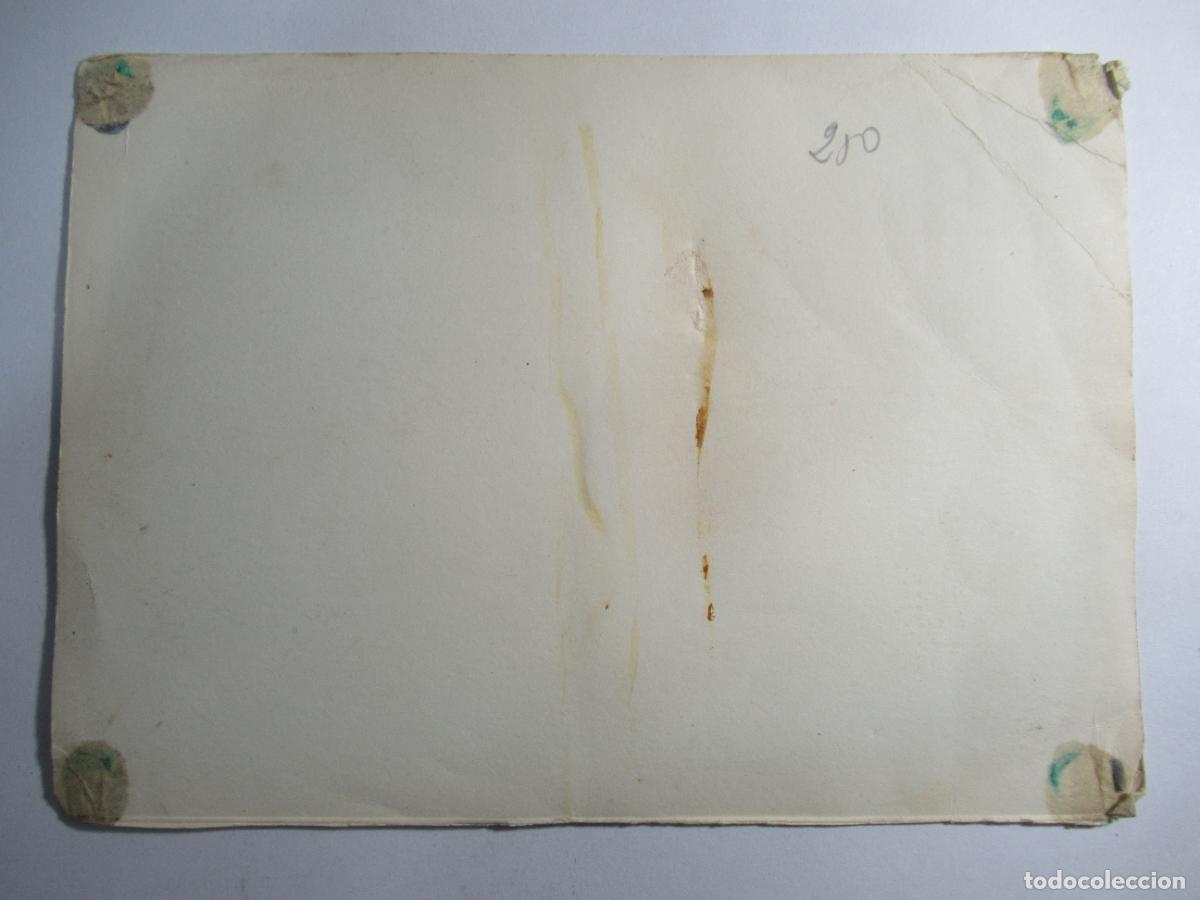 Postales: Postal - 17,5 x 12,7 cm. - Foto 2