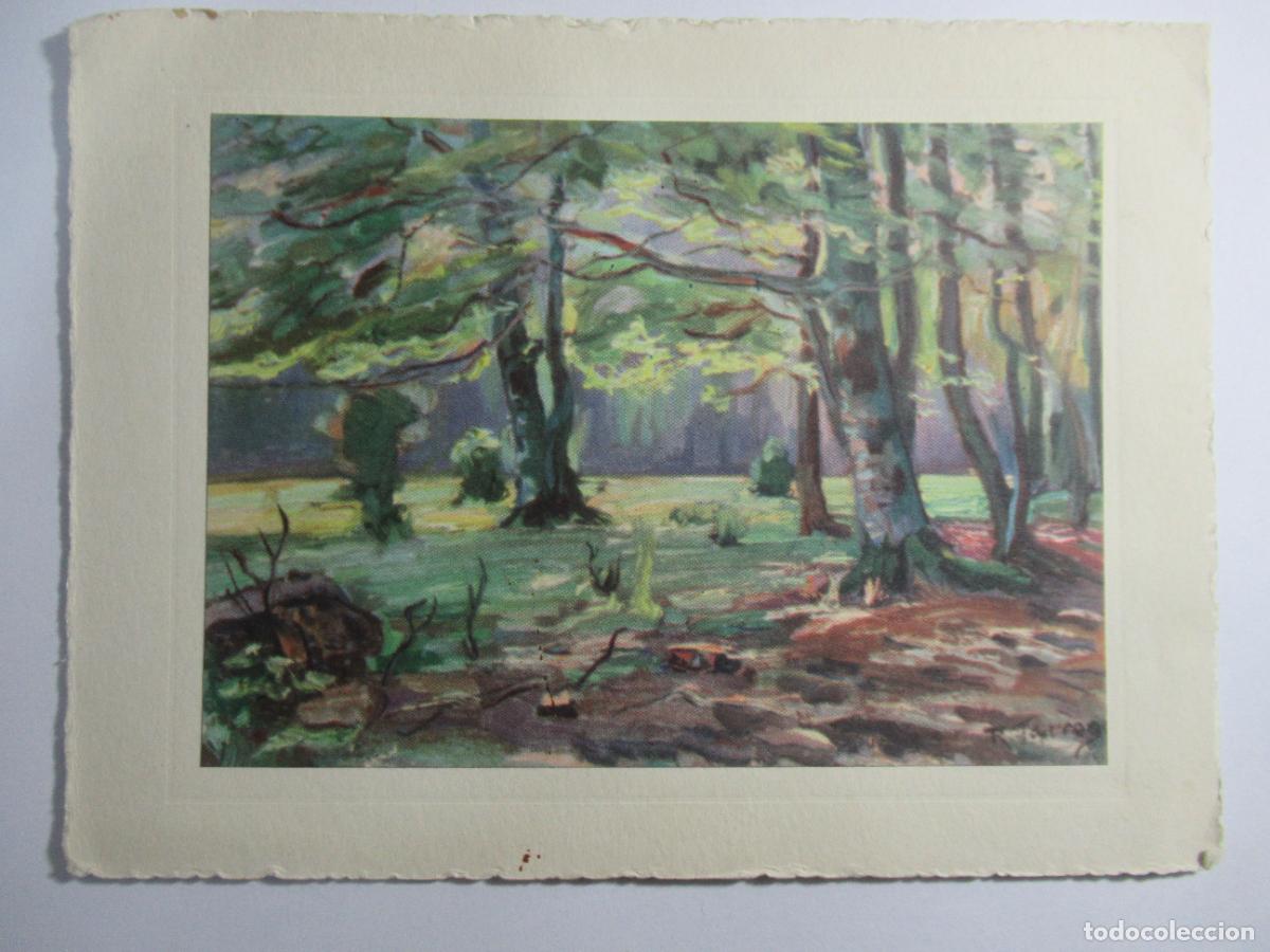 Postales: Sin identificar - 16,3 x 12 cm. - S/C - Foto 1