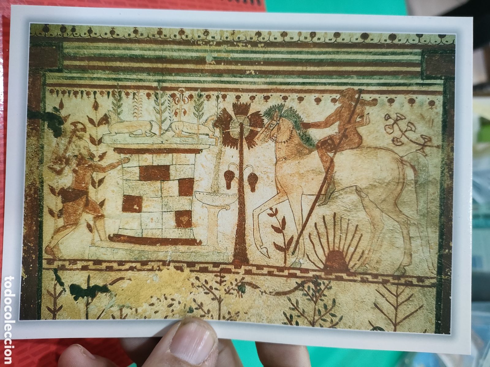 Postales: Postal TARQUINIA Italia TOMBA DEI TORI