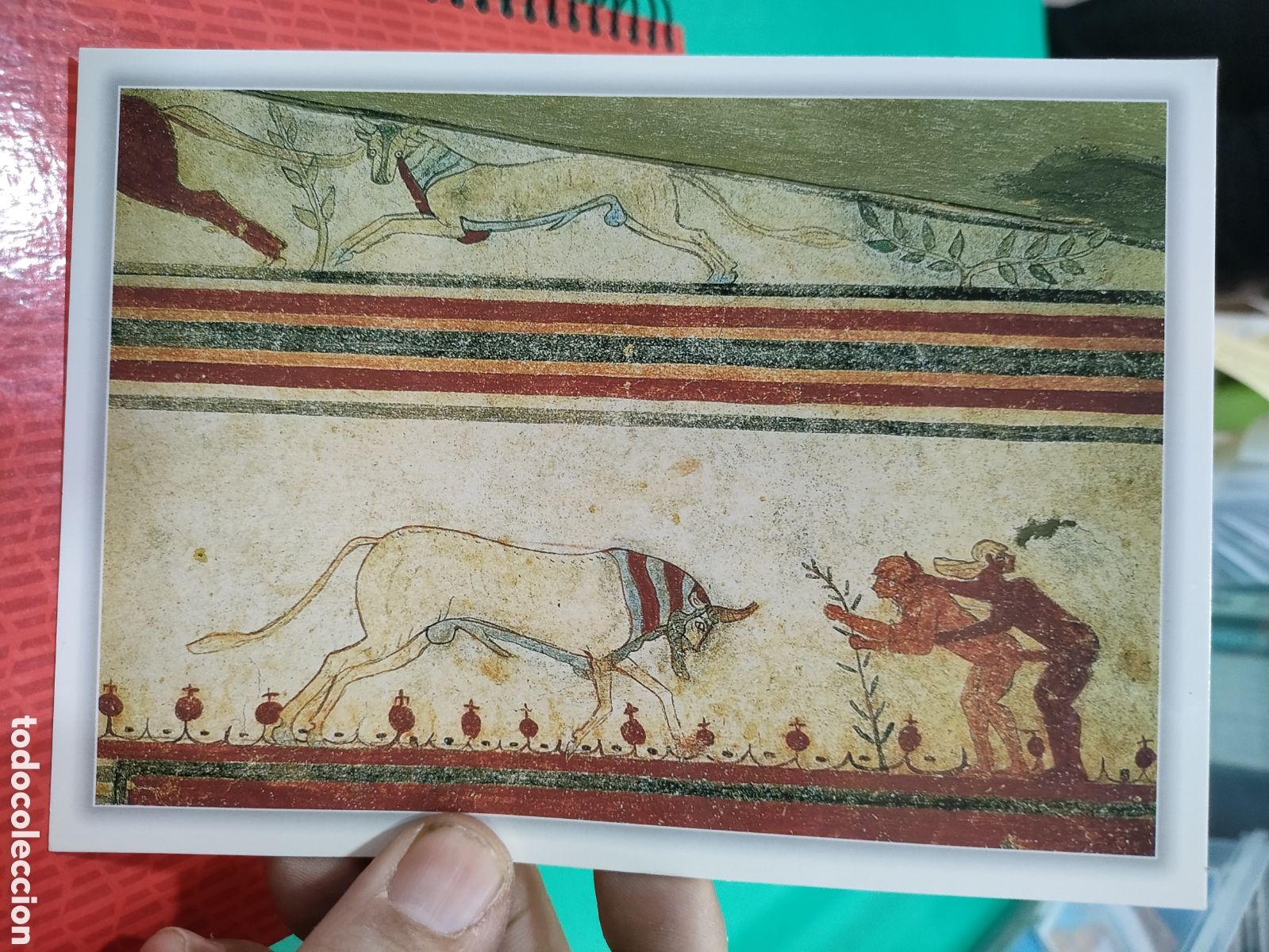 Postales: Postal TARQUINIA Italia TOMBA DEI TORI SC