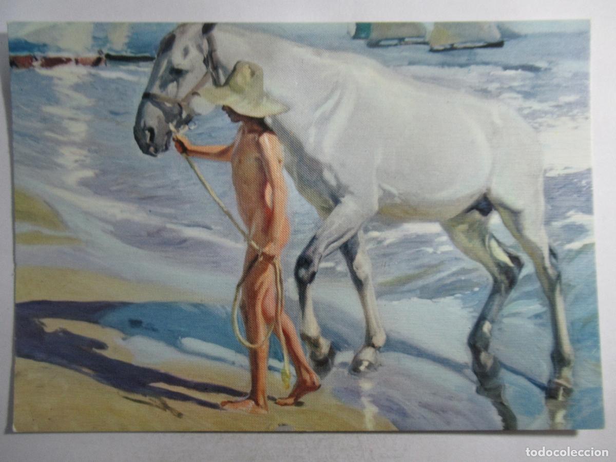 Postales: Joaqu&iacute;n Sorolla - El Ba&ntilde;o del Caballo - S/C - Foto 1