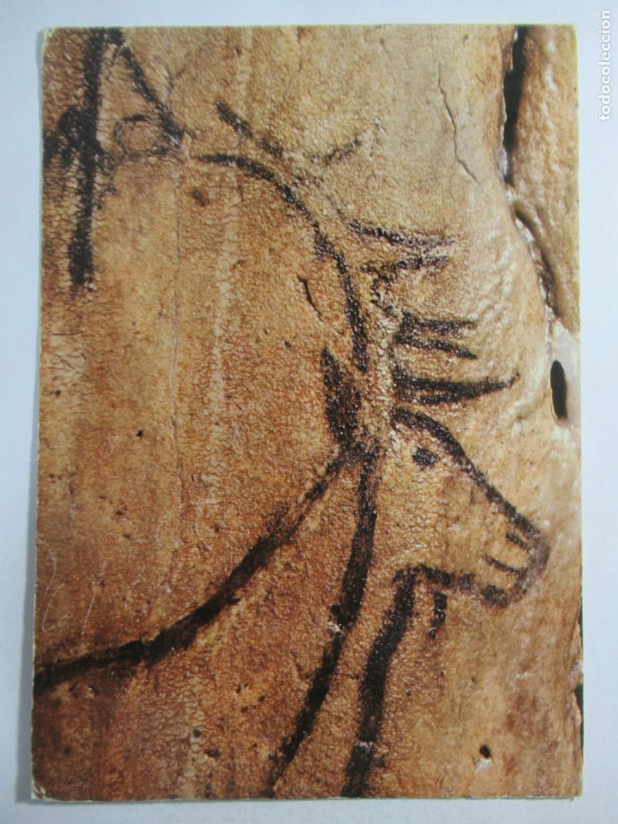 Postales: Arte Paleol&iacute;tico - S/C - Foto 1