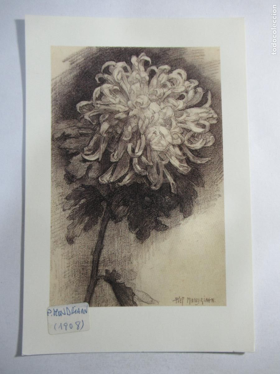 Postales: P. Mondriaan - Chrysant - S/C - Foto 1