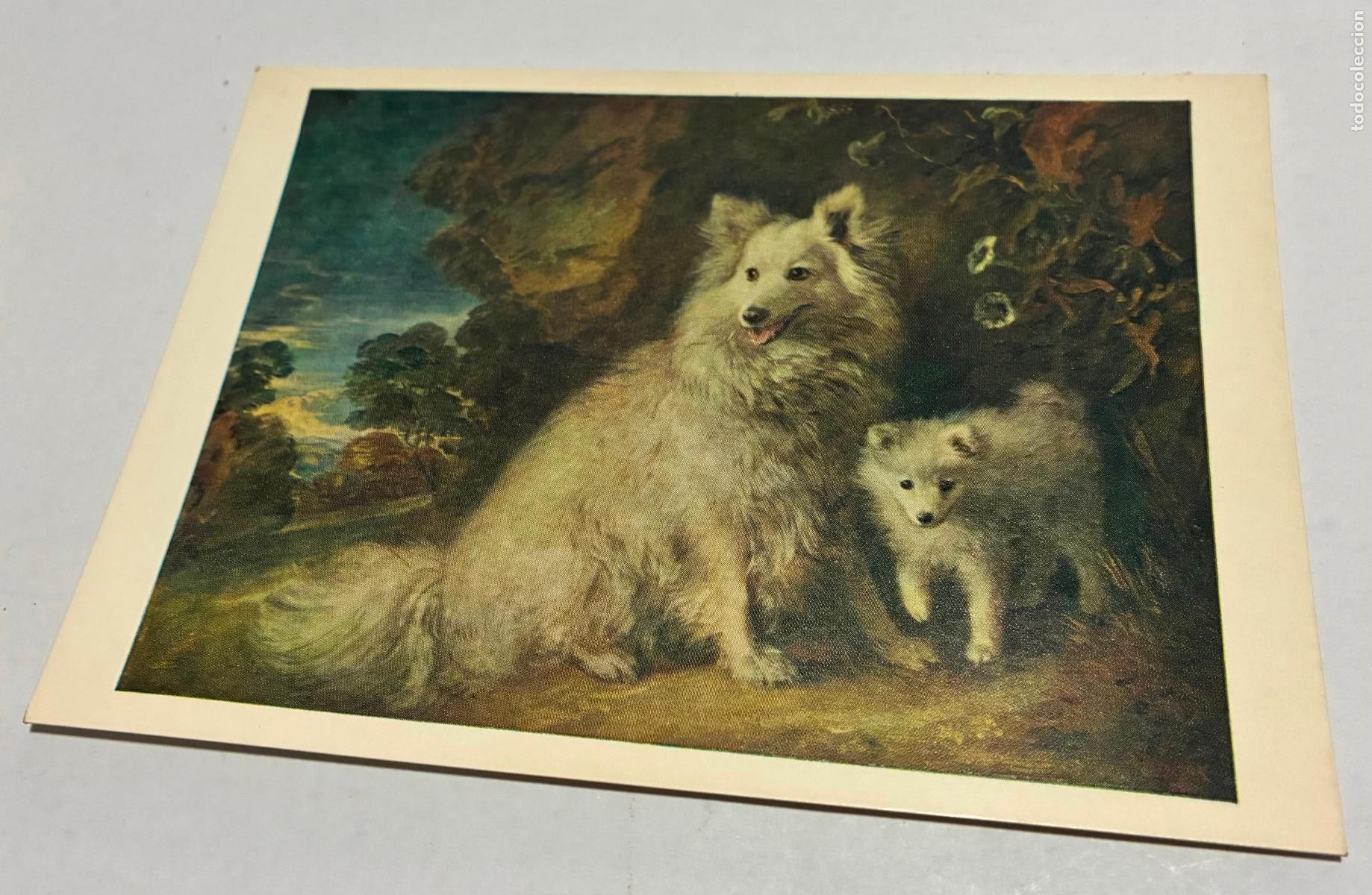 Postales: POSTAL NATIONAL GALLERY, CARD Numero 1237, Pomeranian Bitch