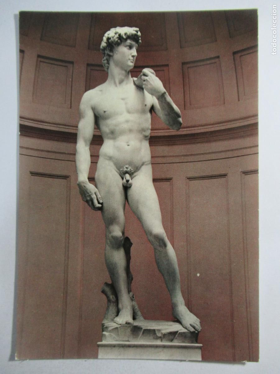 Postales: Firenze - David del Michelangelo - S/C