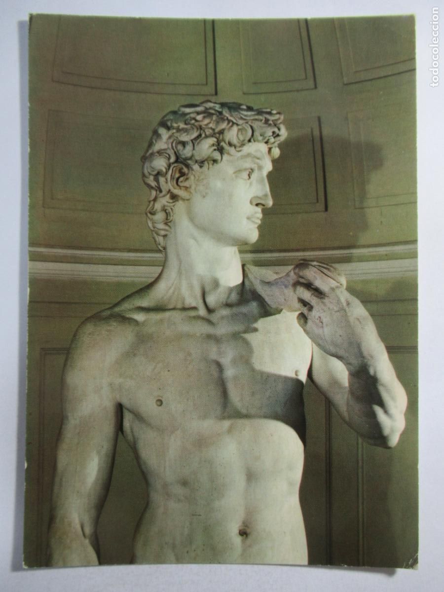 Postales: Michelangelo - Il David - S/C