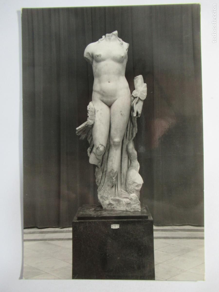 Postales: Museo Arqueol&oacute;gico Hispalense - Sevilla - Venus de It&aacute;lica - S/C