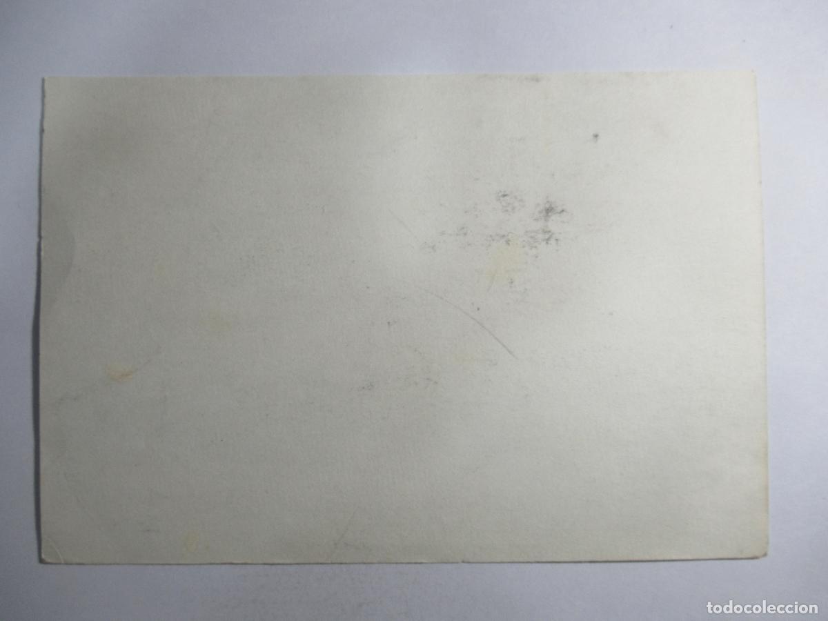 Postales: Postal sin identificar Gato - S/C - Foto 2