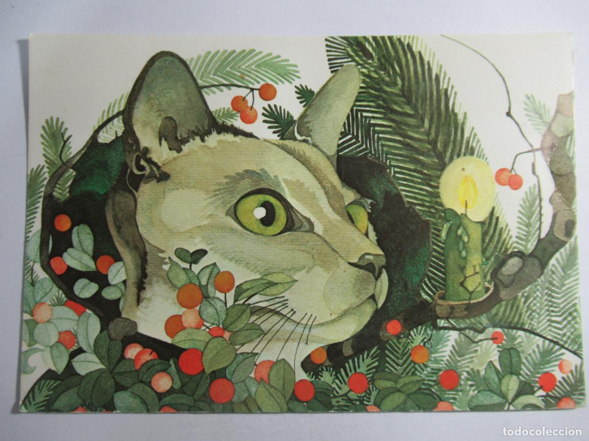 Postales: Postal sin identificar Gato - S/C - Foto 1