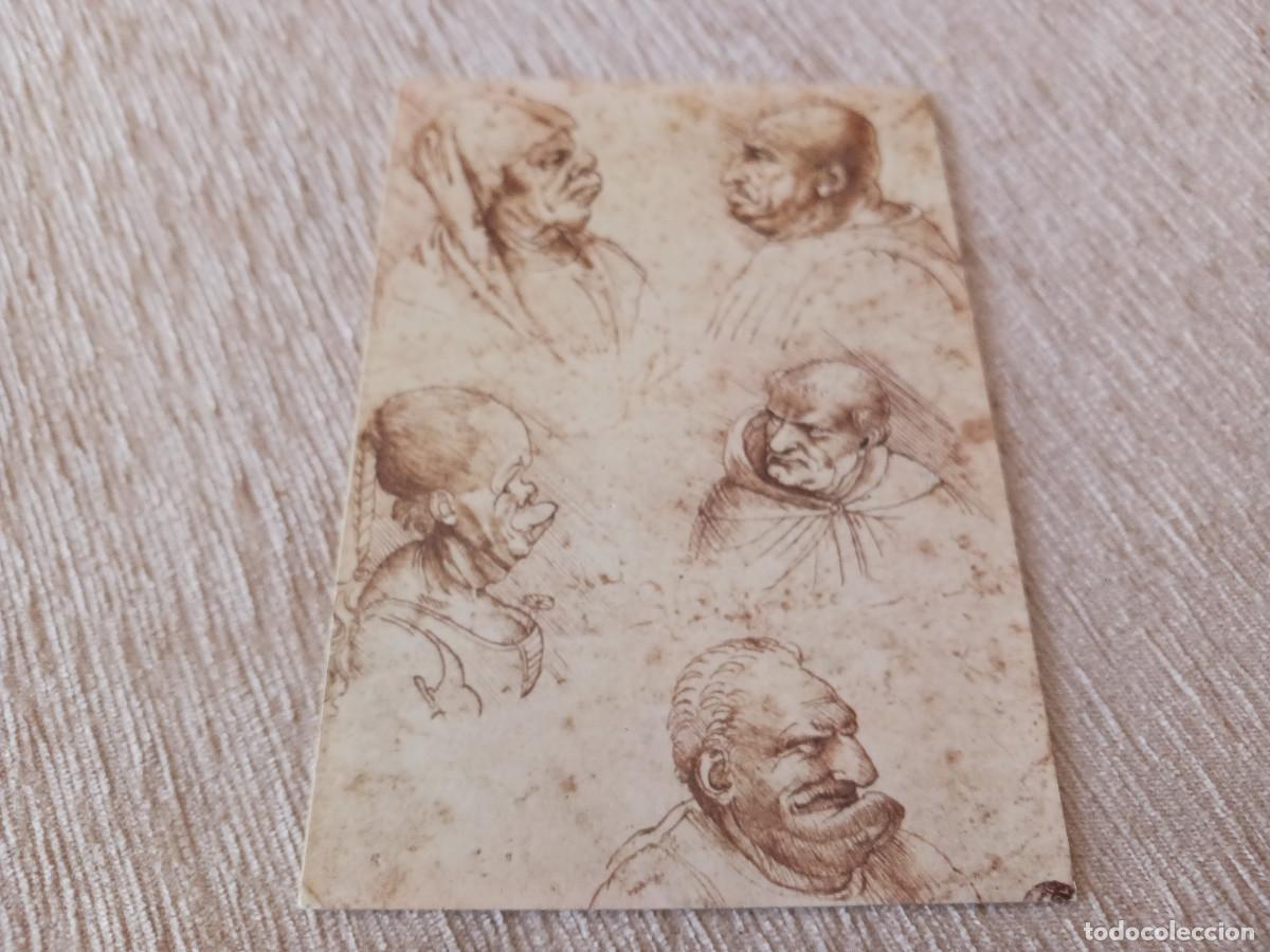 Postales: LEONARDO DA VINCI. CINQUE TESTE GROTTESCHE. FIRENZE.