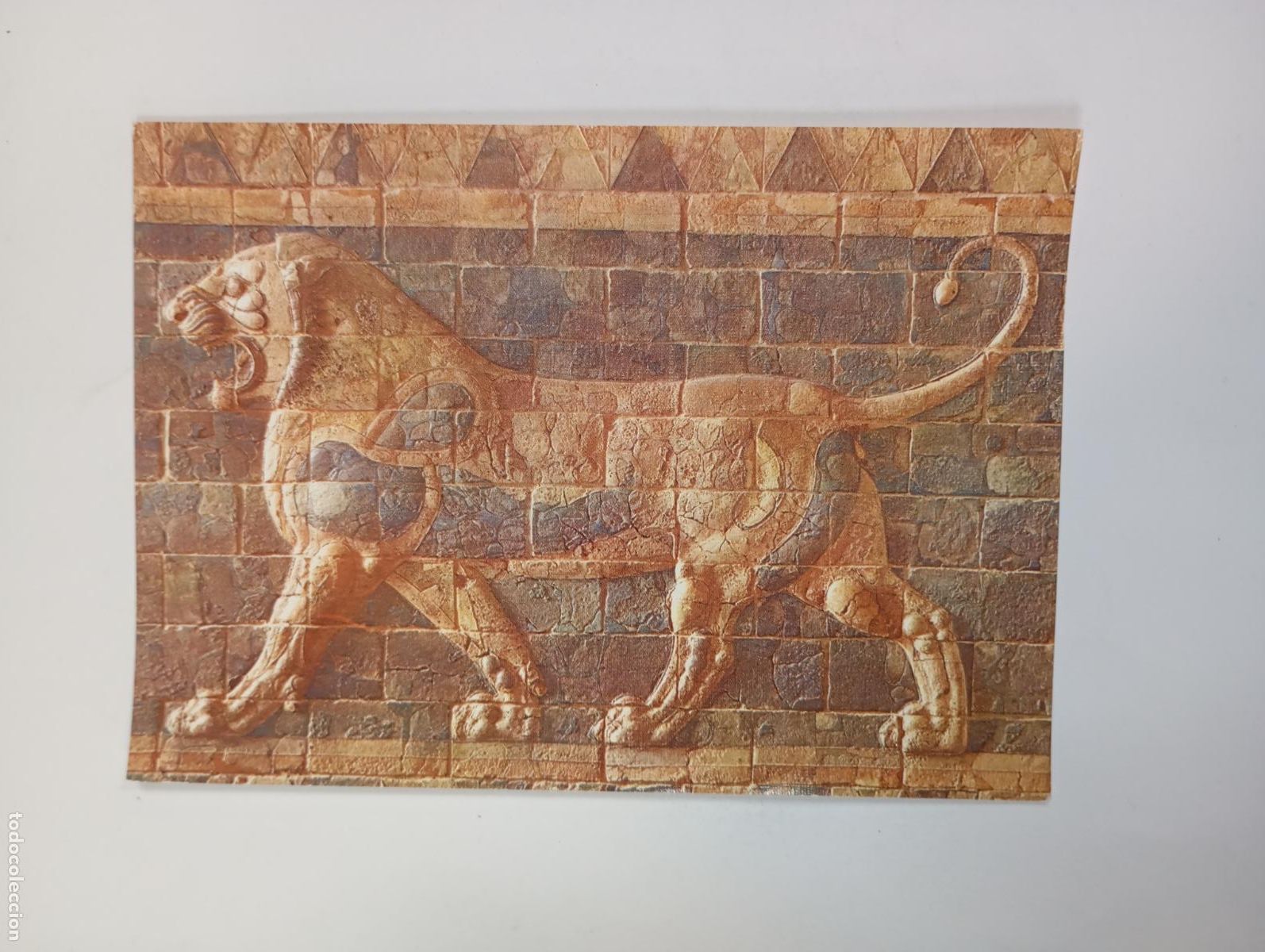 Postales: POSTAL FRISO DE LOS LEONES. PALACIO REAL DE SUSA. TDKP29A