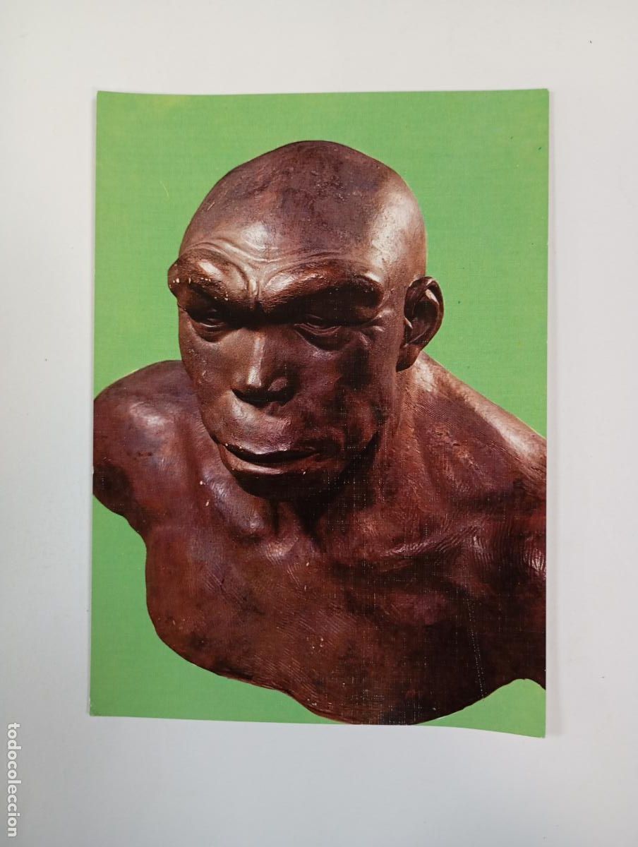 Postkarten: POSTAL NEANDERTHAL. ARTE PREHIST&Oacute;RICO. TDKP29A