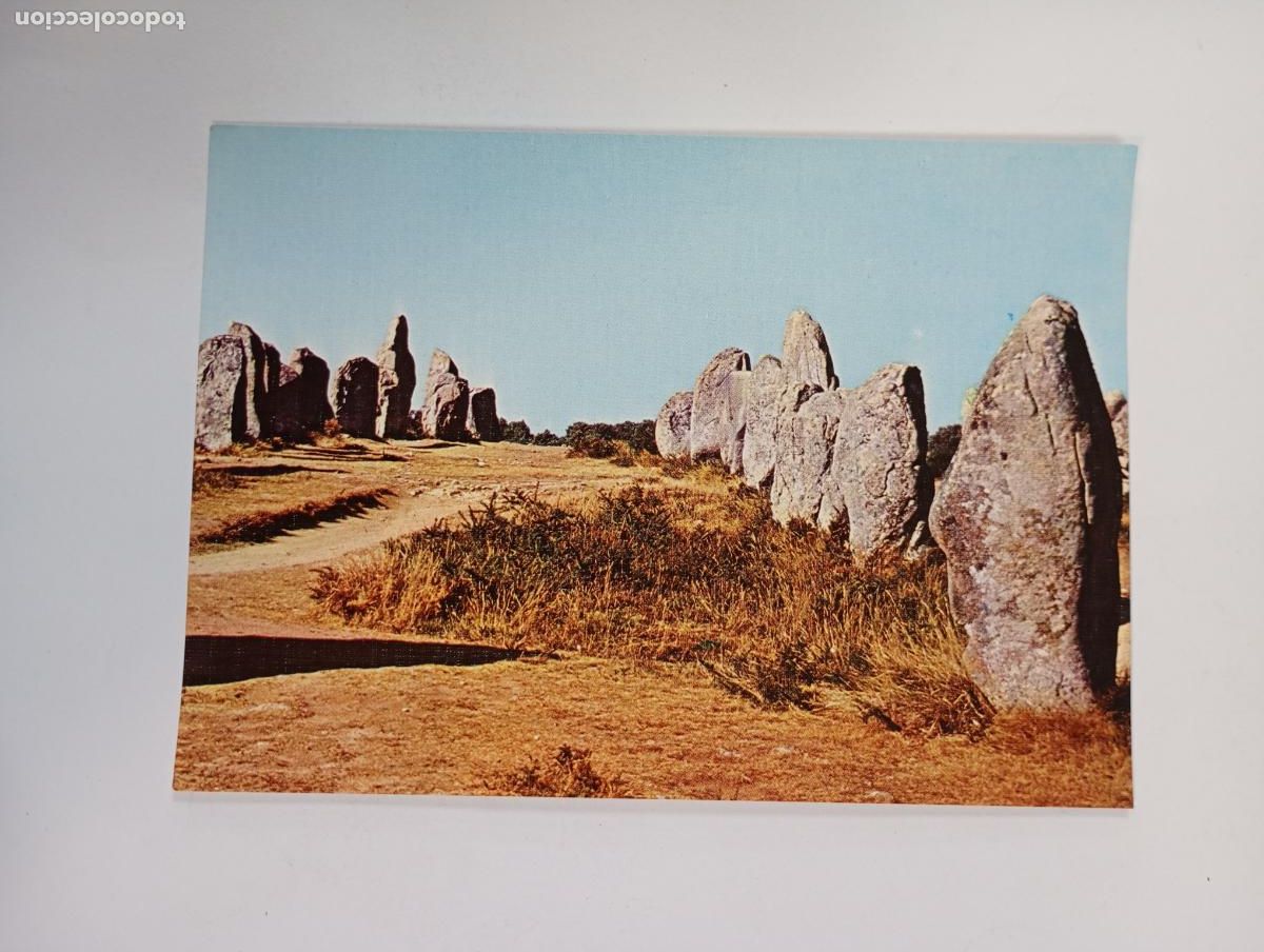 Postkarten: POSTAL ALINEAMIENTOS DE CARNAC. FRANCIA. ARTE PREHIST&Oacute;RICO. TDKP29A
