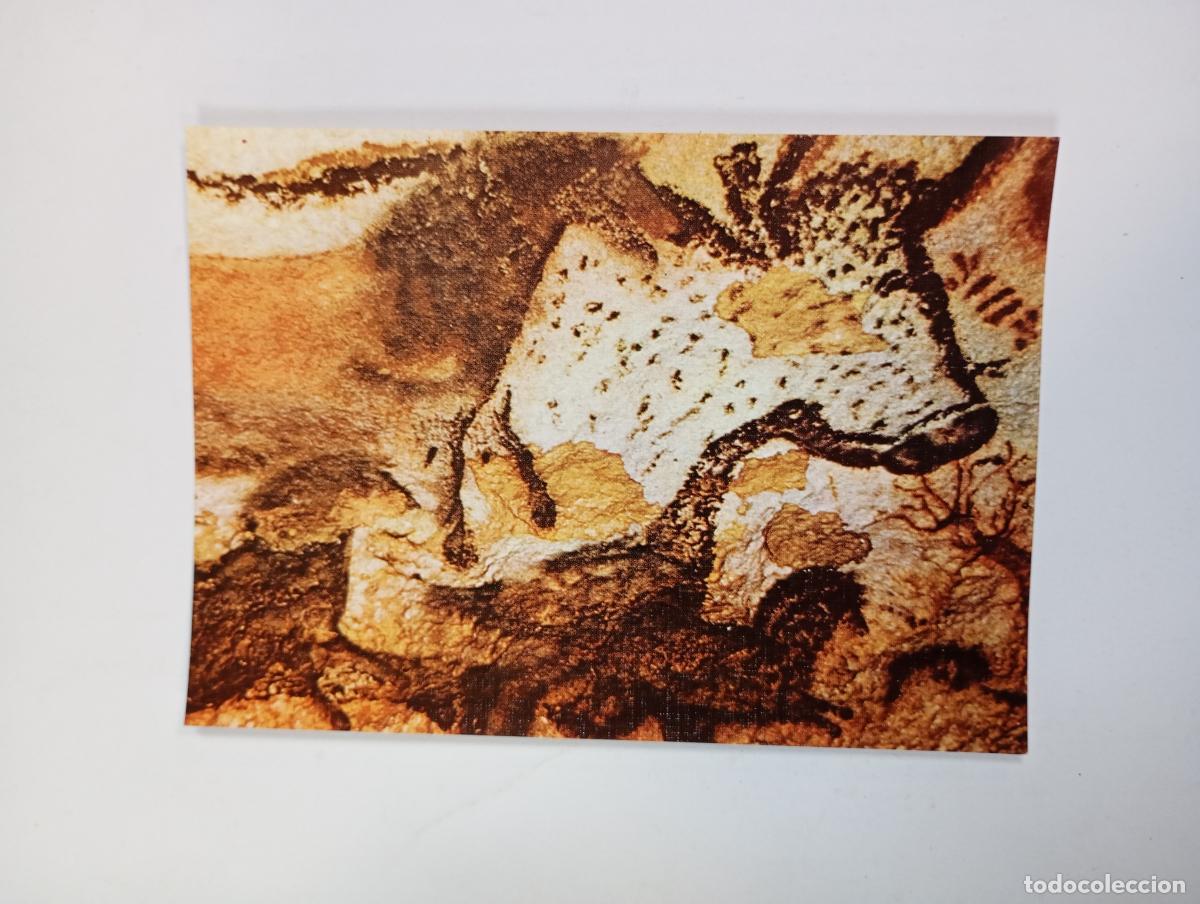 Postales: POSTAL ARTE PREHIST&Oacute;RICO. PINTURAS DE LASCAUX. TDKP29B
