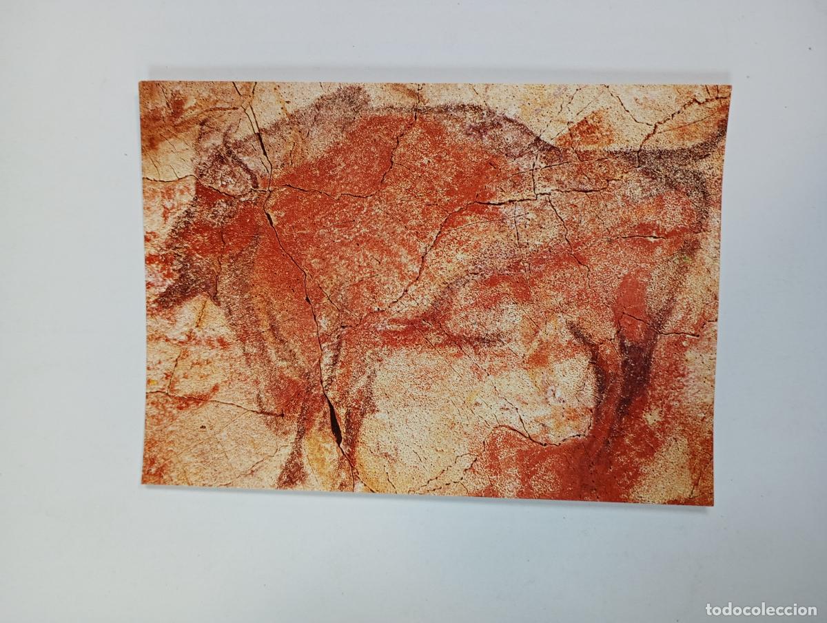 Postales: POSTAL ARTE PREHIST&Oacute;RICO. PINTURAS DE ALTAMIRA. TDKP29B