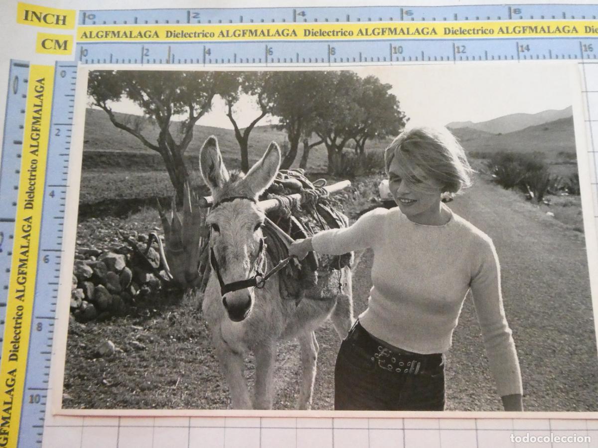 Postales: POSTAL DE FOTOGRAF&Iacute;A ARTE. CENTRO ANDALUZ DE LA FOTOGRAF&Iacute;A ALMER&Iacute;A 2010. CESAR LUCAS MUJER. 2957