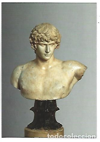 Postales: &rdquo; BUSTO DE ANTINOO / BUST OF ANTINOUS &rdquo;, REPLICA ANONIMA.- MUSEO DEL PRADO - MADRID