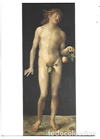 Postales: &rdquo; ADAN / ADAM &rdquo;, (ALBERTO DURERO - 1471 - 1528).- MUSEO DEL PRADO - MADRID