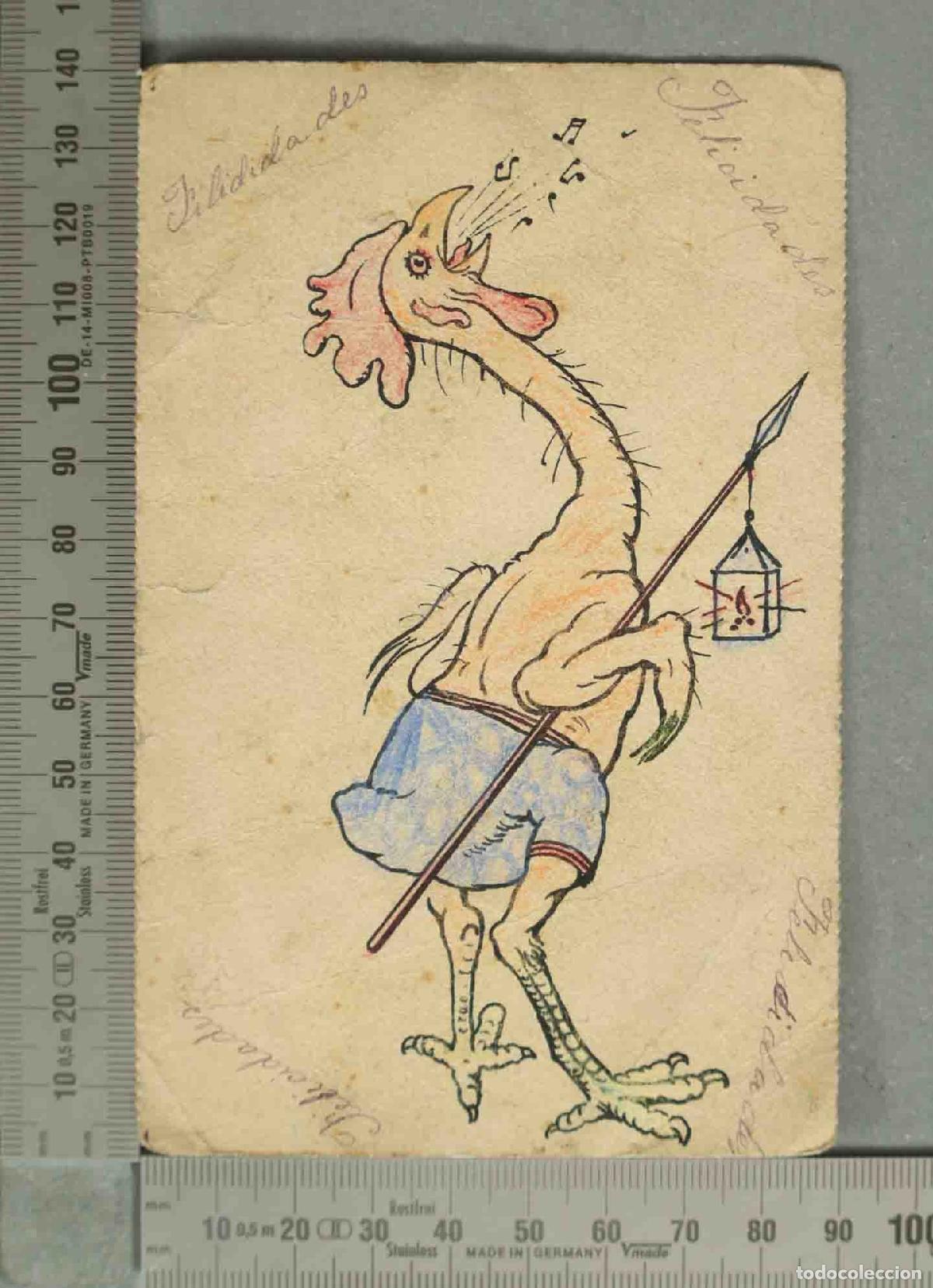 Postales: POSTAL. Gallo desplumado cantando - Felicidades