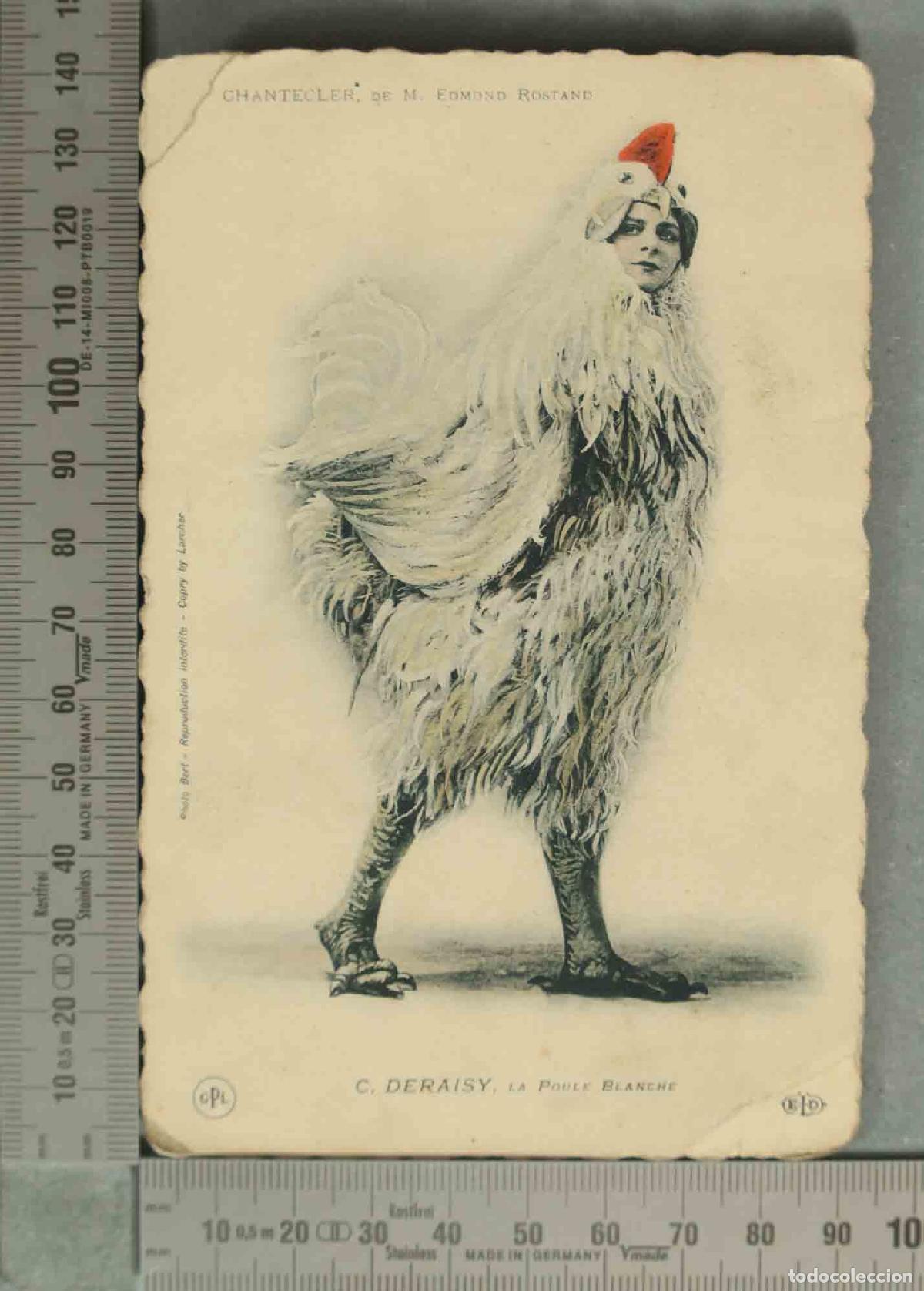 Postales: POSTAL. Chantecler de Edmond Rostand - La Poule Blanche - C. Deraisy - Bert, Larcher