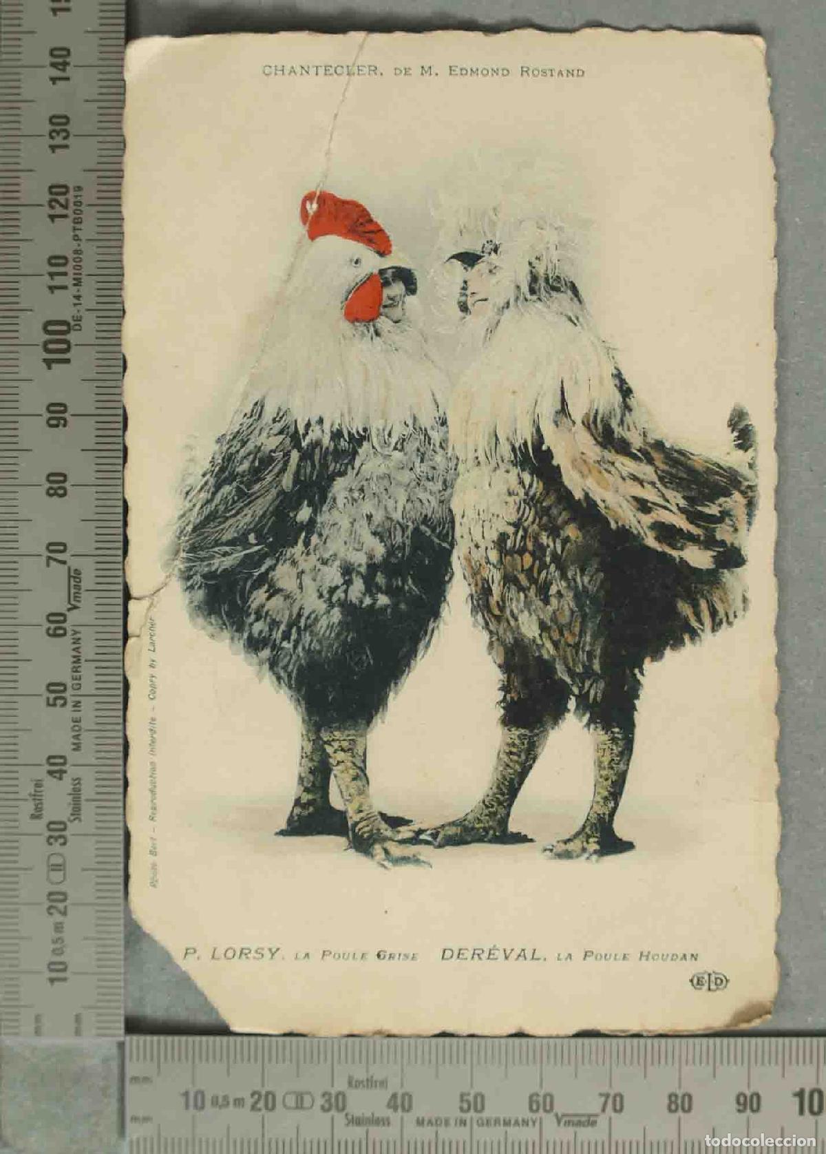 Postales: POSTAL. Chantecler - Edmond Rostand - P. Lorsy, Dereval - La Poule Grise, La Poule Houdan