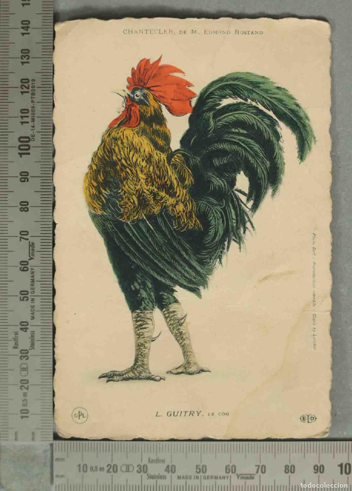 Postales: POSTAL. Chantecler - M. Edmond Rostand - Lucien Guitry, Le Coq