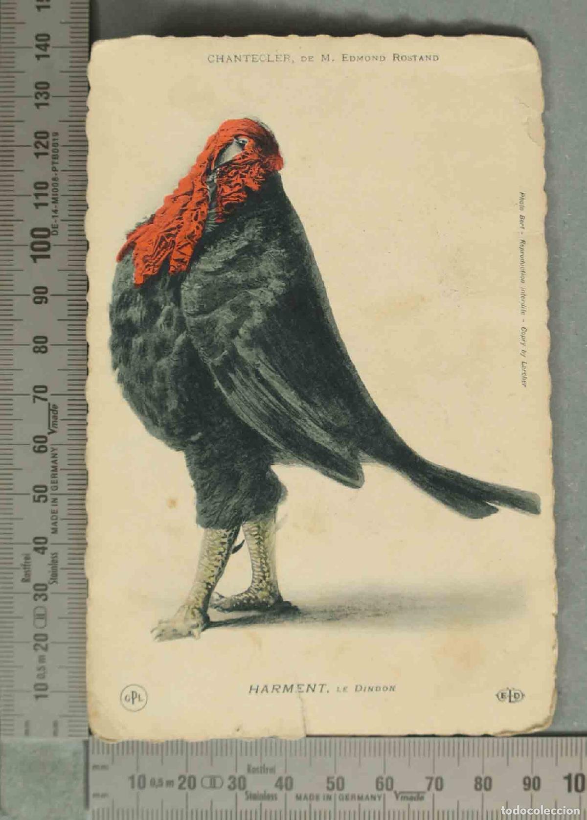Postales: POSTAL. Chantecler - Edmond Rostand - Harment, le Dindon