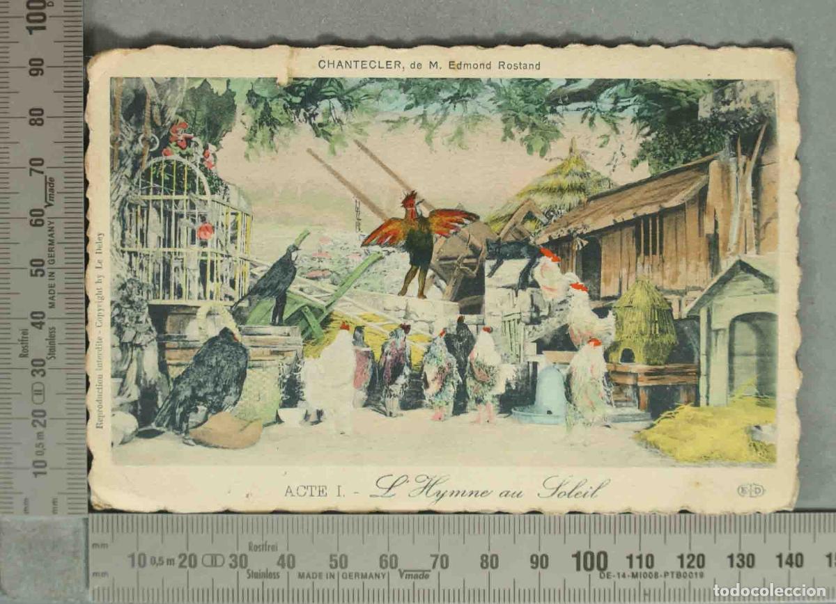 Postales: POSTAL. Chantecler - Edmond Rostand - Acte I - L&acute;Hymne au Soleil - E.L.D.