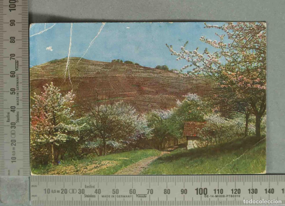 Postales: POSTAL. PAISAJE . LITOGRAFIADA