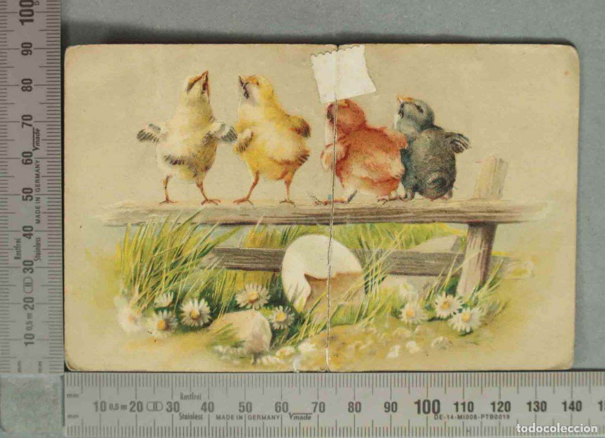 Postales: POSTAL. Easter Greetings - Chicks Hatching Out of Egg - PFB - Foto 1