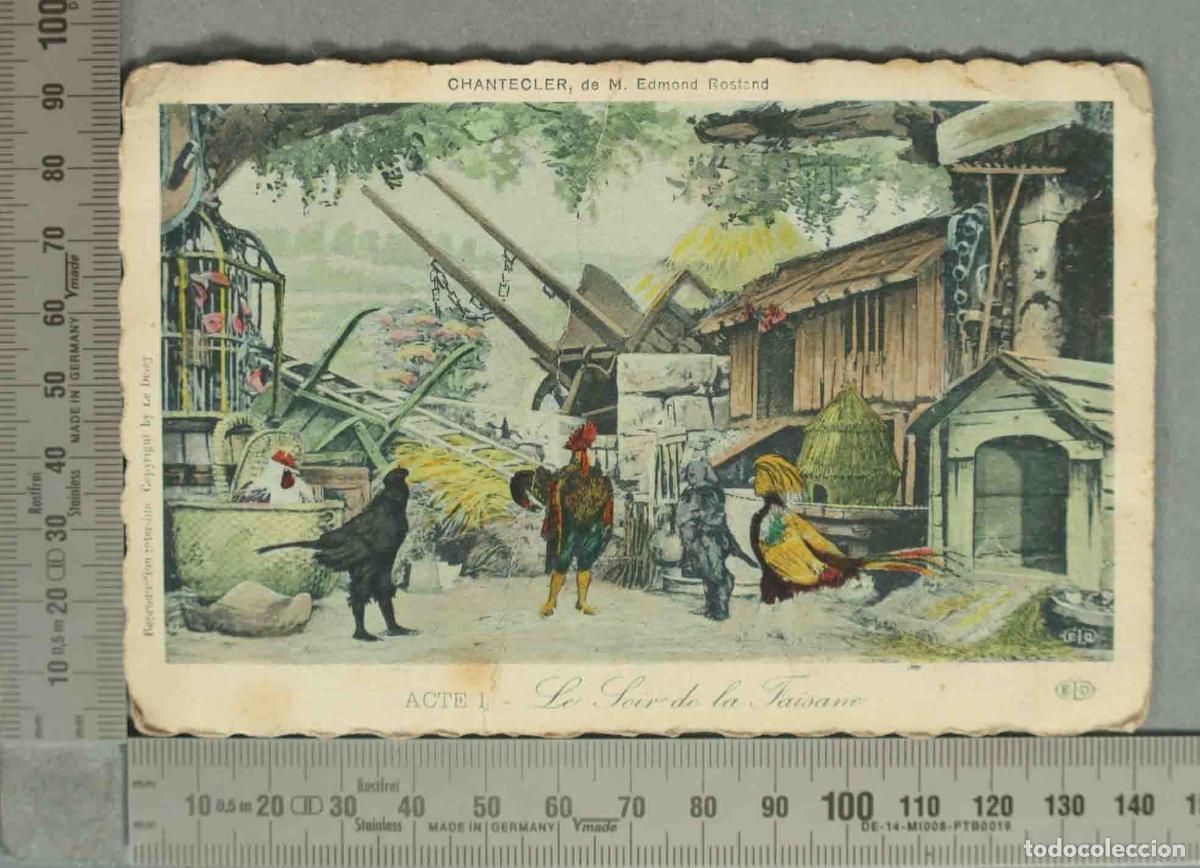Postales: POSTAL. Chantecler - Edmond Rostand - Acte I - Le Soir de la Faisane