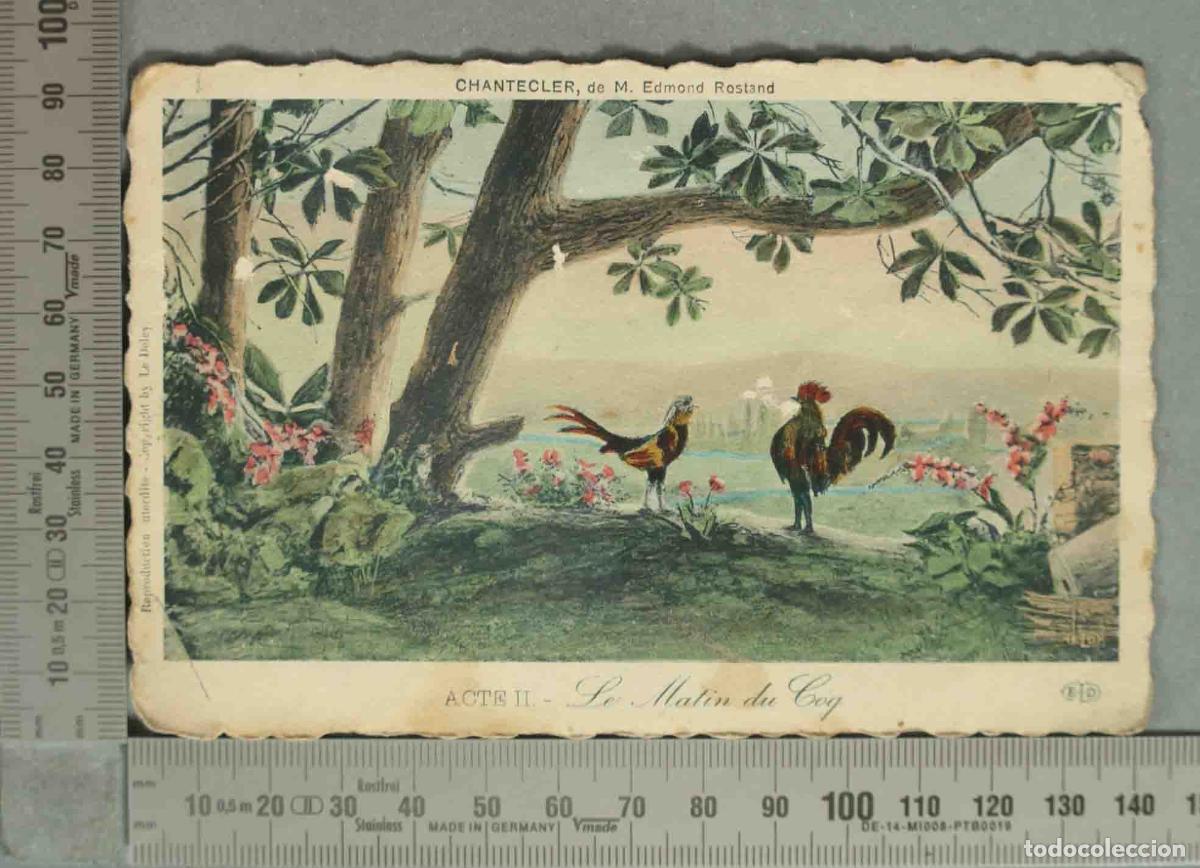 Postales: POSTAL. Chantecler - Edmond Rostand - Acte II - Le Matin du Coq