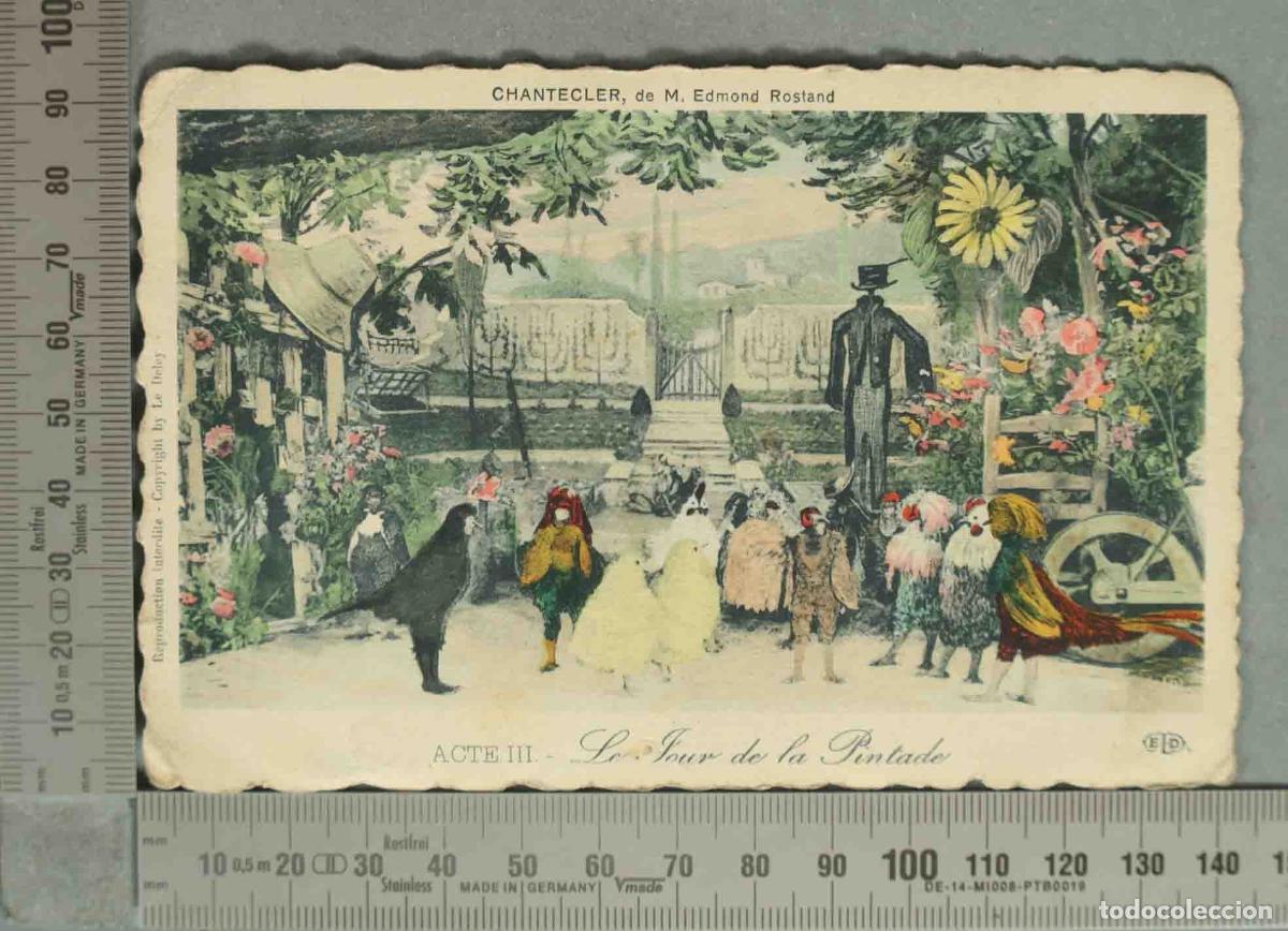 Postales: POSTAL. Chantecler - Edmond Rostand - Acte III - Le Jour de la Pintade