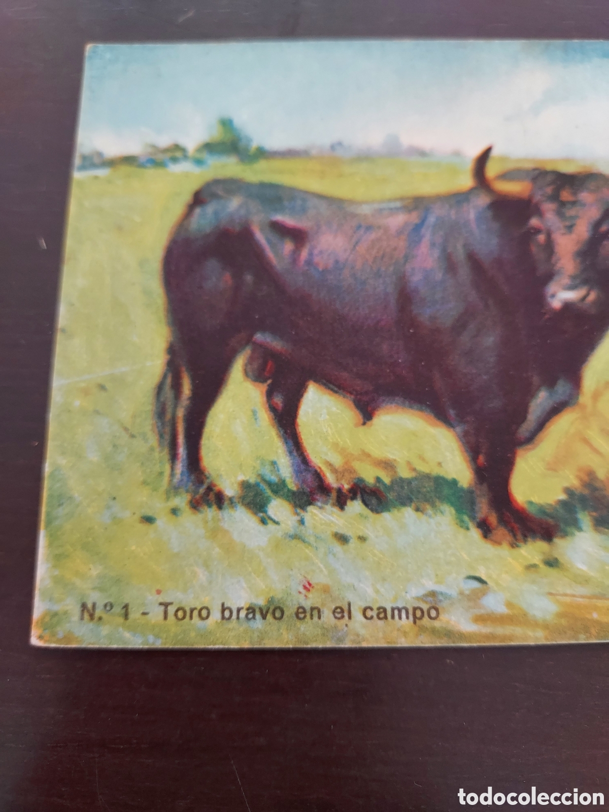 Postales: Postal Toro bravo en el campo - Foto 2