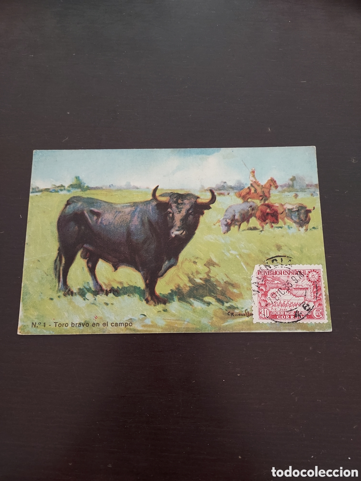 Postales: Postal Toro bravo en el campo