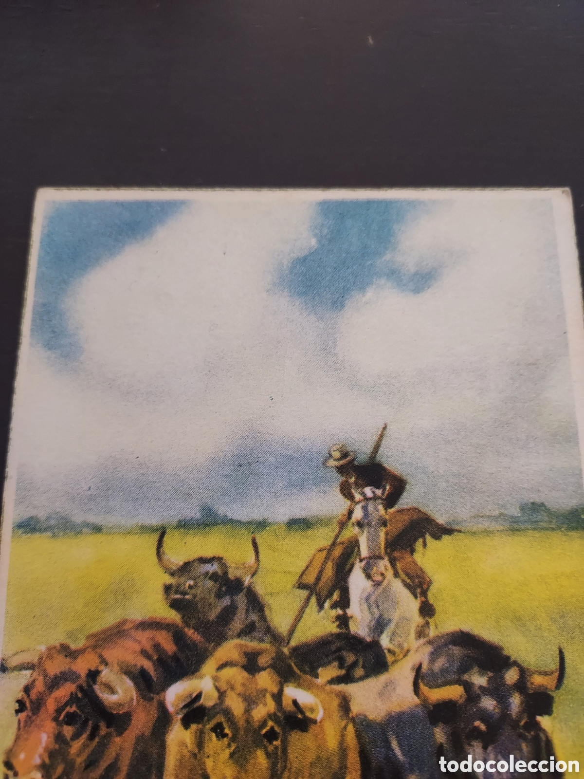 Postales: Postal Toros en el campo - Foto 2